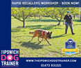 Image 2 for The Ipswich Dog Trainer