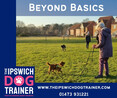 Image 10 for The Ipswich Dog Trainer