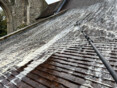 Image 11 for Out of the Gutter Property Cleaning & Maintenance Solutions
