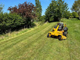 Image 3 for AP Landscapes Tree & Grounds Maintenance