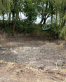 Image 8 for AP Landscapes Tree & Grounds Maintenance
