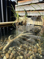 Image 1 for Lydon Land and Water Ltd