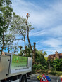Image 3 for J. Firman Trees and Fences Limited