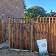 Image 3 for James Steven Landscapes and Lawns