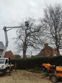 Image 1 for Tree Work & Surveys Limited