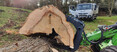 Image 2 for Tree Work & Surveys Limited