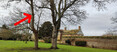 Image 4 for Tree Work & Surveys Limited