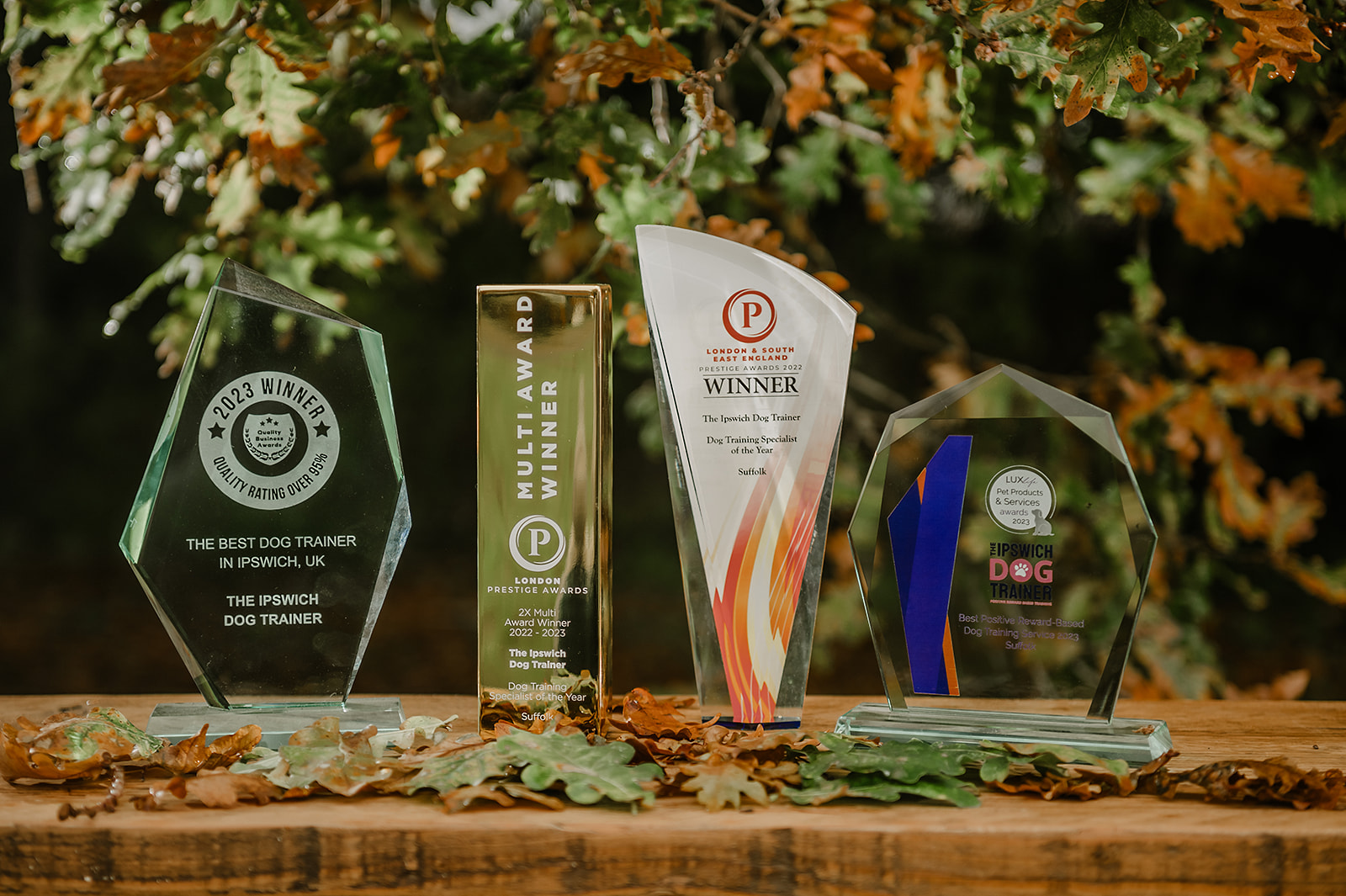 The Ipswich Dog Trainer award collection