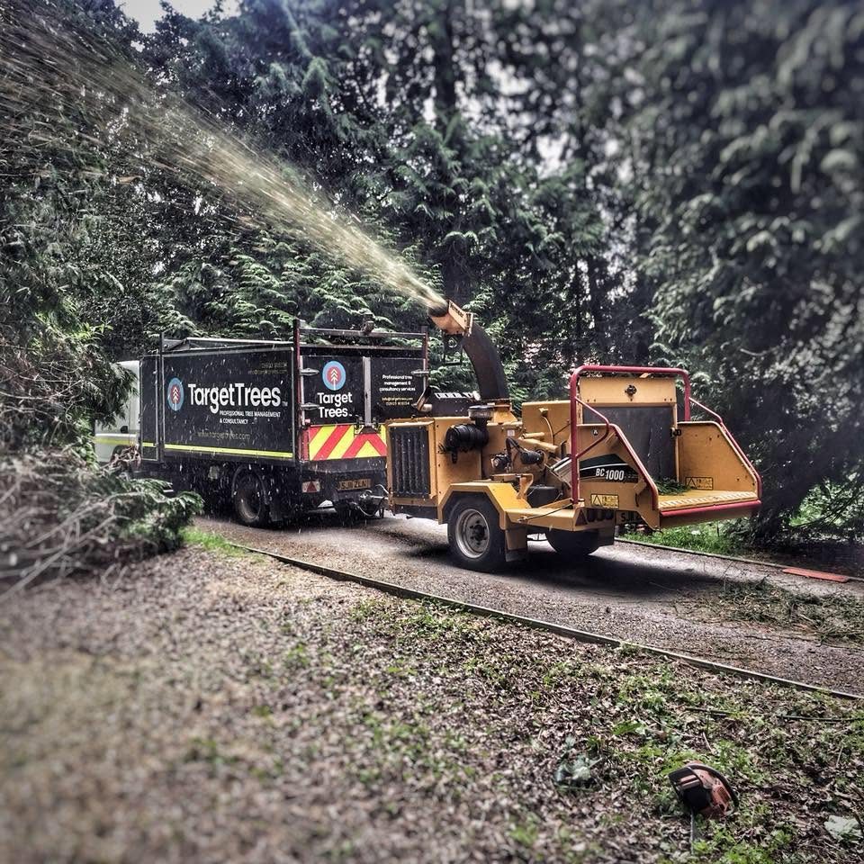 A branded Target Trees truck and wood chipper in action on a tree job
