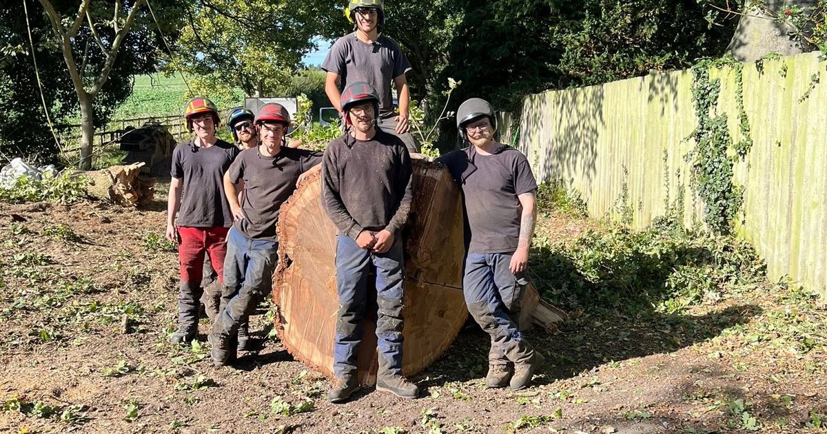 The Target Trees team of arborists standing in front of a large felled oak trunk