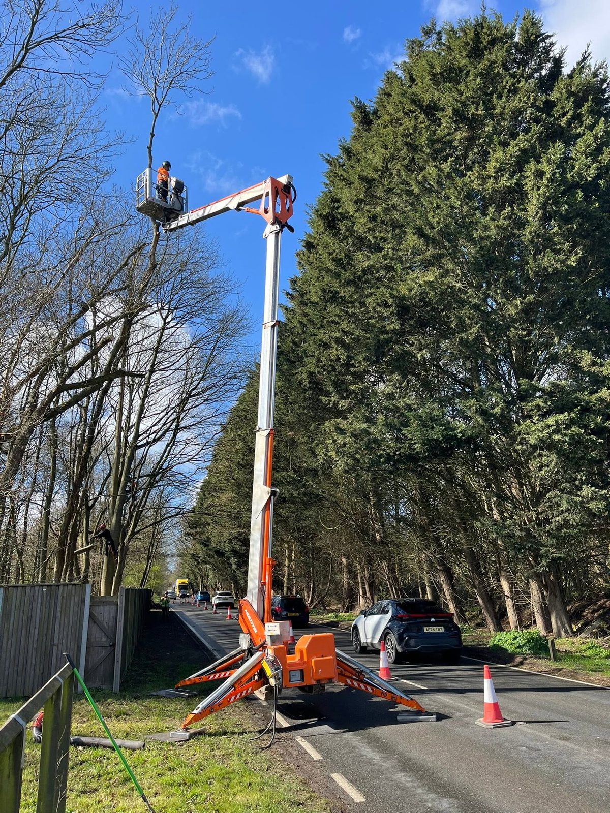 A Target Trees arborist working from a tracked access platform during a roadside tree job