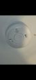 Review Image 2 for Foxglove Electrical Ltd by Jenny Outten