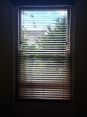 Review Image 1 for Westminster Blinds Limited by Polly Rodwell