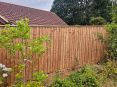 Review Image 1 for Saplings Landscape Gardening by Hannah S