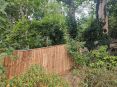 Review Image 2 for Saplings Landscape Gardening by Hannah S