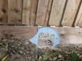 Review Image 3 for Saplings Landscape Gardening by Hannah S