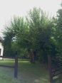 Review Image 1 for J. Firman Trees and Fences Limited by Elaine