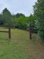 Review Image 2 for J. Firman Trees and Fences Limited by Elaine
