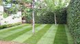 Review Image 1 for Elizabeths Gardens by Sheila A