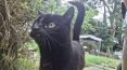 Review Image 3 for Care9 PetCare by John Stone