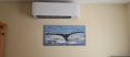 Review Image 1 for Cool Runnings Air Conditioning Ltd by Peter Milliken