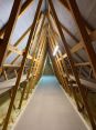 Review Image 2 for More Than Loft Ladders by Nichola  Freeman
