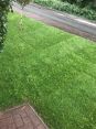 Review Image 1 for James Steven Landscapes and Lawns by Roger Rowland