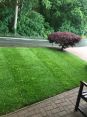 Review Image 2 for James Steven Landscapes and Lawns by Roger Rowland