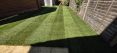Review Image 2 for James Steven Landscapes and Lawns by Alex Davies
