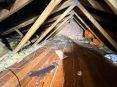 Review Image 1 for Earsham Lofts by Craig Howard