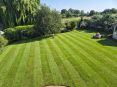 Review Image 1 for James Steven Landscapes and Lawns by alison fraser