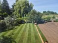 Review Image 2 for James Steven Landscapes and Lawns by alison fraser