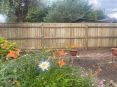Review Image 1 for Martlesham Fencing Limited by David Cuthbert