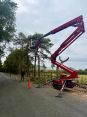 Review Image 1 for AP Landscapes Tree & Grounds Maintenance by Celia Haigh