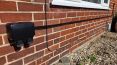Review Image 1 for D.Carter Electrical Ltd by Paul