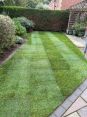 Review Image 2 for James Steven Landscapes and Lawns by David Batchelor