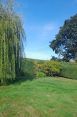 Review Image 1 for J. Firman Trees and Fences Limited by Val Kemp